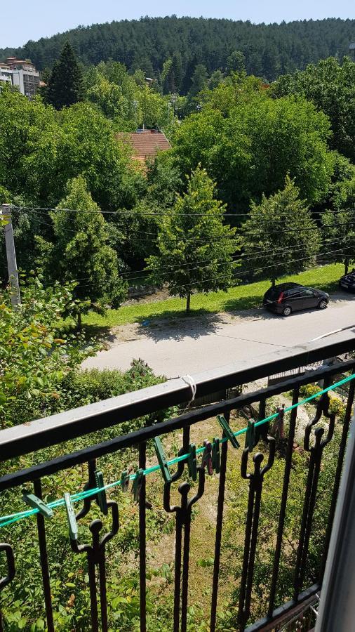 Apartmani V&F Vrnjačka Banja Εξωτερικό φωτογραφία