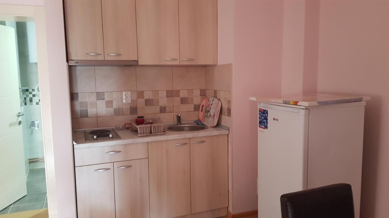 Apartmani V&F Vrnjačka Banja Εξωτερικό φωτογραφία