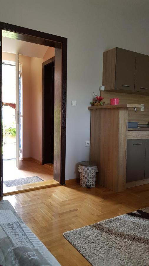Apartmani V&F Vrnjačka Banja Εξωτερικό φωτογραφία