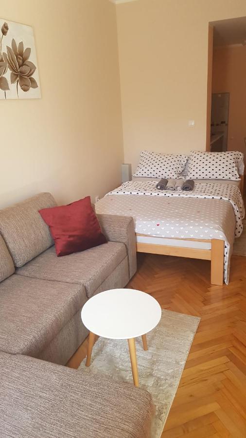Apartmani V&F Vrnjačka Banja Εξωτερικό φωτογραφία