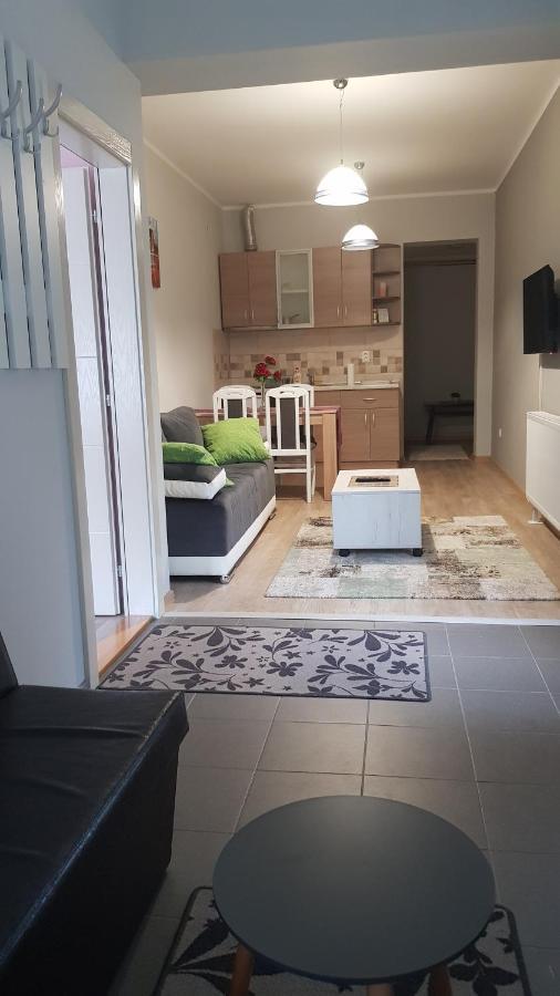 Apartmani V&F Vrnjačka Banja Εξωτερικό φωτογραφία