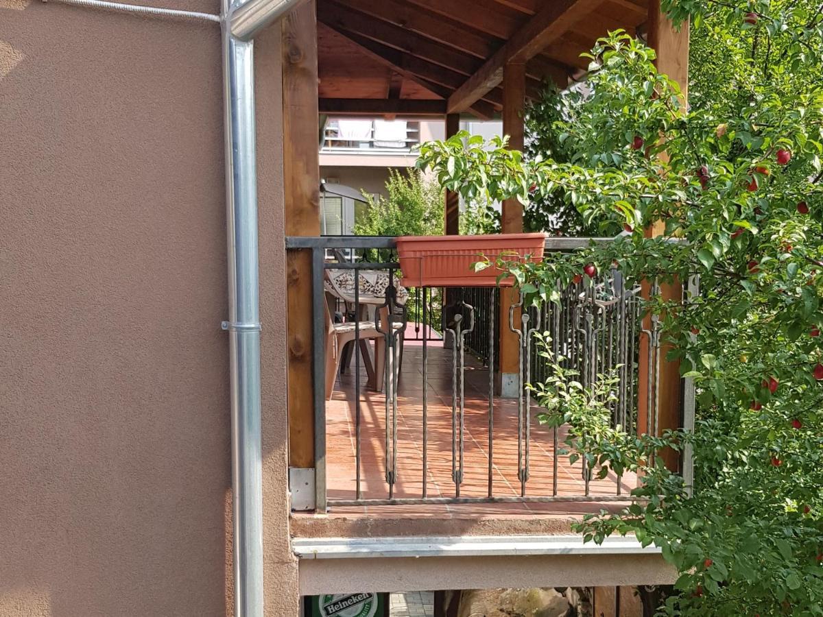 Apartmani V&F Vrnjačka Banja Εξωτερικό φωτογραφία