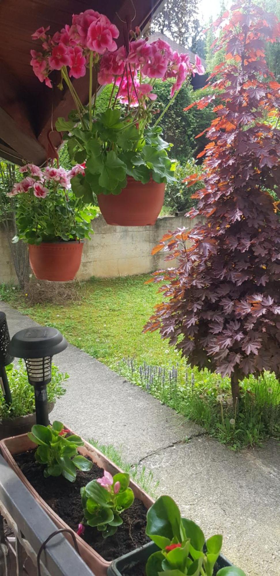Apartmani V&F Vrnjačka Banja Εξωτερικό φωτογραφία