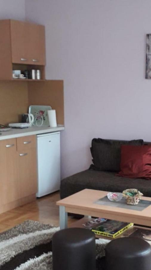 Apartmani V&F Vrnjačka Banja Εξωτερικό φωτογραφία