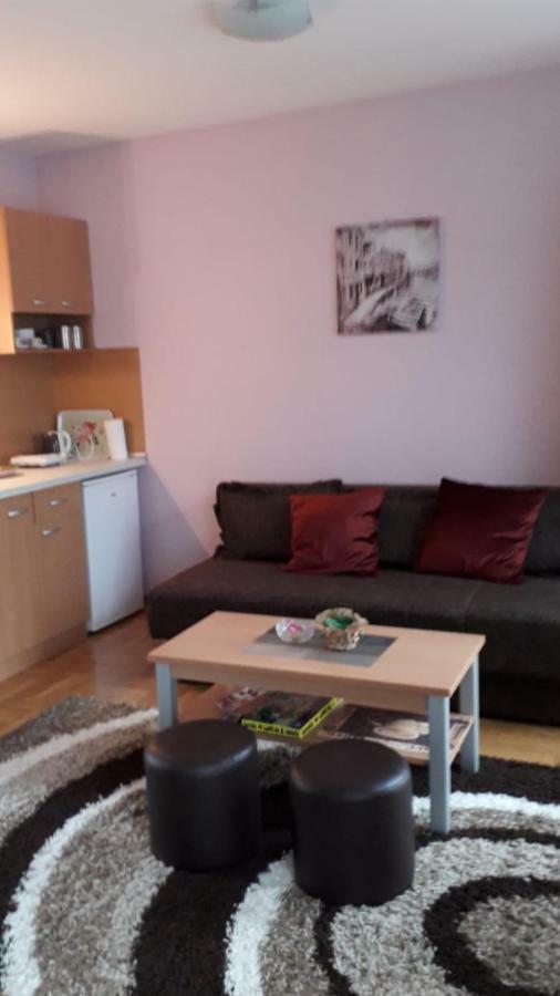 Apartmani V&F Vrnjačka Banja Εξωτερικό φωτογραφία