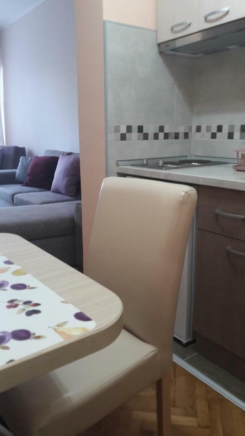 Apartmani V&F Vrnjačka Banja Εξωτερικό φωτογραφία