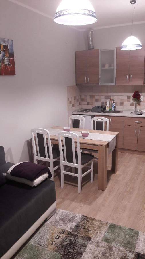 Apartmani V&F Vrnjačka Banja Εξωτερικό φωτογραφία