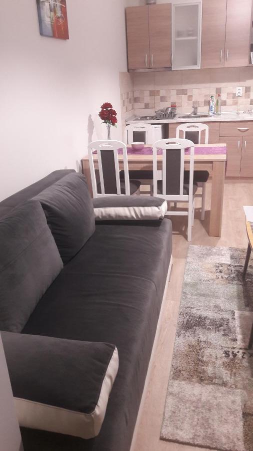 Apartmani V&F Vrnjačka Banja Εξωτερικό φωτογραφία
